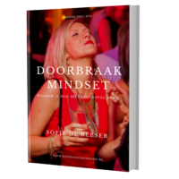 E-book Doorbraakmindset